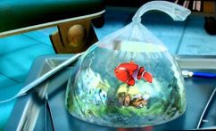 После ошеломительного успеха мультфильма производства студии Pixar «В поисках Немо» прототип главного героя-рыбка-клоун стала бестселлером продаж и самым желанным обитателем