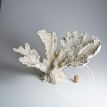 Искусственные кораллы для аквариума фото