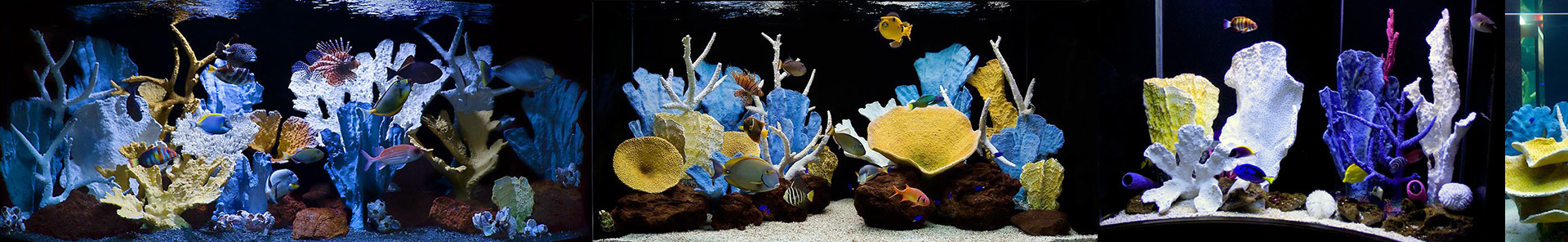 Искусственный коралловый риф в большом аквариуме