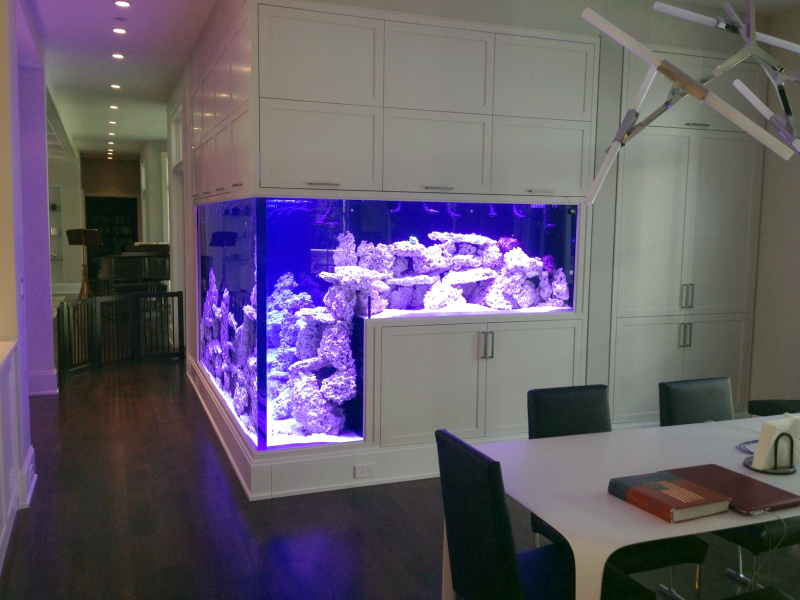 Двойной аквариум встроенный в стену