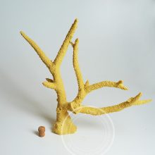 Искусственные кораллы для аквариума фото и цены
